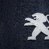 Raindrops cover the logo of French car manufacturer Peugeot on a automobile seen in Nantes, France, July 20, 2017