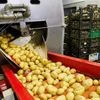 India's agriculture export to Bhutan down 40%
