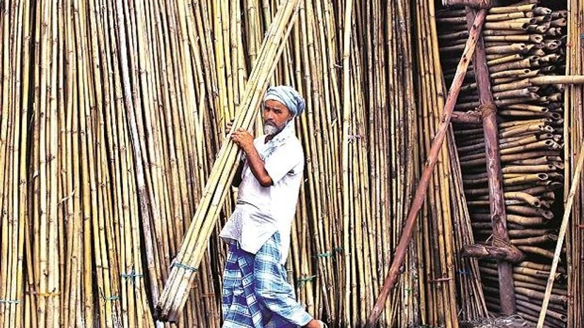 Bamboo Mission Bamboo Mission