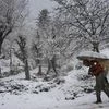 Jammu and Kashmir, J&K, avalanches, snow