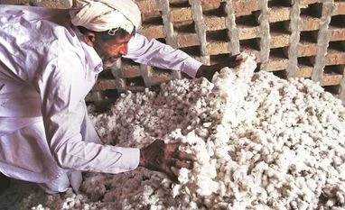CAI retains April cotton output estimate at 36 million bales Cotton