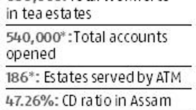 A year after payment digitisation, Assam tea workers still rely on cash A year after payment digitisation, Assam tea workers still rely on cash