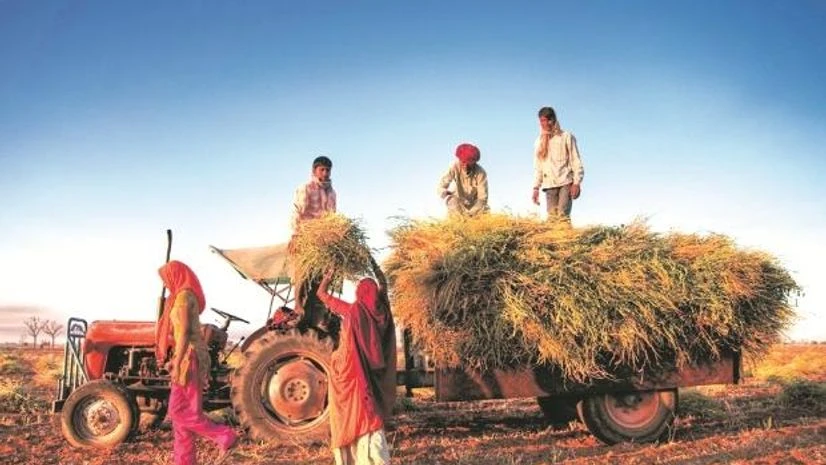 agriculture, farming, farmer, crop, crop insurance agriculture, farming, farmer, crop, crop insurance