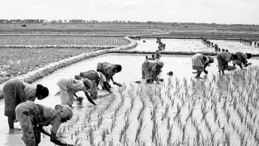 Five ways to reduce farm distress Five ways to reduce farm distress