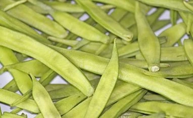 Commodity picks: 24 September, 2018 Guar Seeds