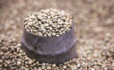 Maharashtra govt raids seed producers and distributors, collects samples seed