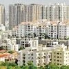 Hyderabad real estate
