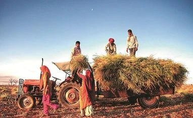 Good beginning but vision is missing in Nirmala Sitharaman's maiden Budget agriculture, farming, crops, cultivation