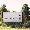 Monsanto
