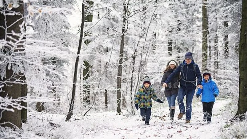 How to win at winter when you hate winter How to win at winter when you hate winter