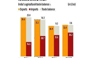 Exporters ask government to provide barter deal with agri-deficit nations India, export, import, EU, European Union, basmati rice, Indian agriculture, Crop Care Federation of India, Indian export, Indian imports