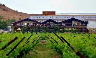 Sula Vineyards stock price gains on highest ever Q1 revenue of Rs 130 crore Sula Vineyards