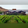 Sula Vineyards