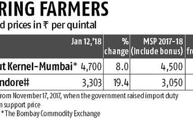 Oilseeds see sharp increase in prices on restocking by crushing mills oilseed