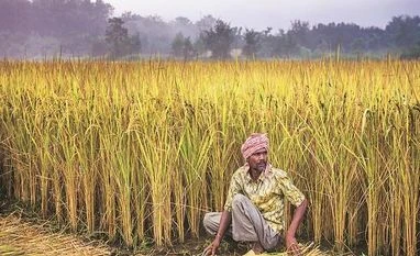 Maharashtra sugar mills owe cane farmers Rs 25 bn due to low sales Sugar cane
