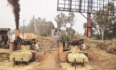 Sugarcane price arrears to farmers at nearly Rs 140 billion Sugar