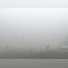 Intense cold wave freezes Delhi at 7°C; thick fog delays over 200 flights Delhi air quality worsens; cold wave, dense fog hampers train services