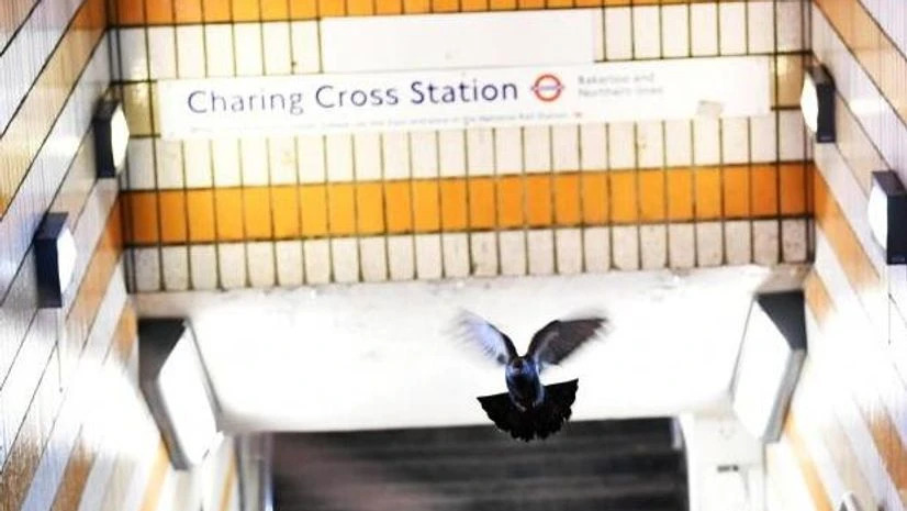 London gas leak London gas leak