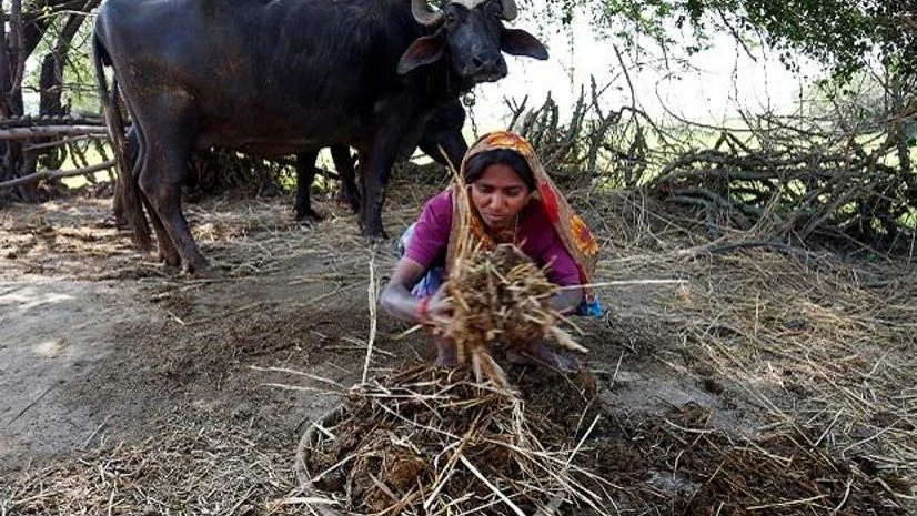 Photo: Reuters Photo: Reuters