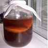 kombucha