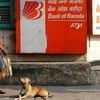 South African court allows Bank of Baroda to leave country over Gupta links