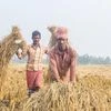 farmers, agriculture