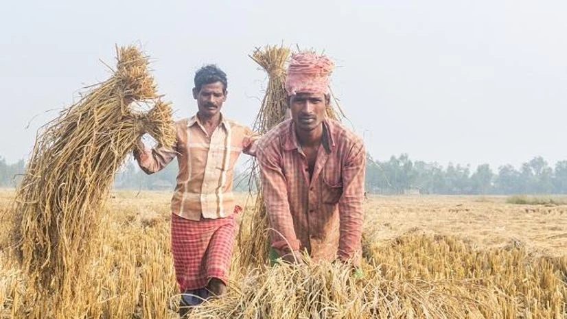farmers, agriculture farmers, agriculture