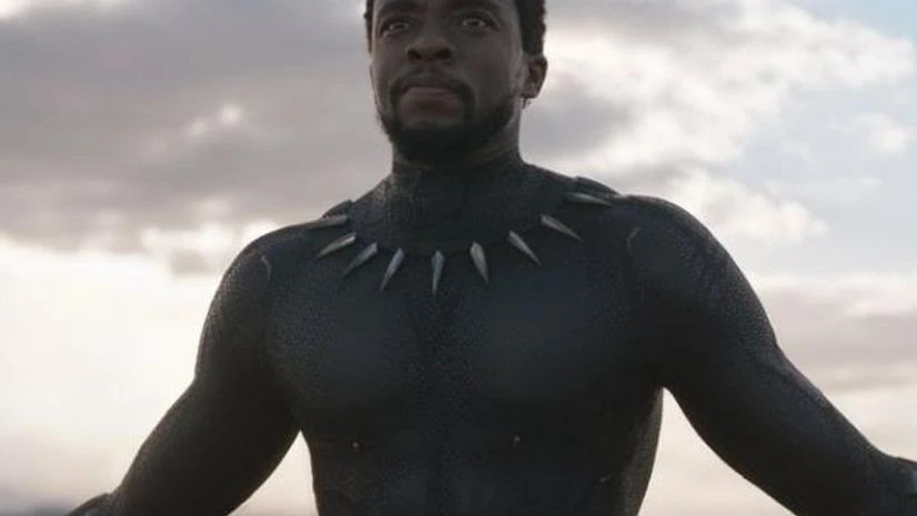 black panther black panther