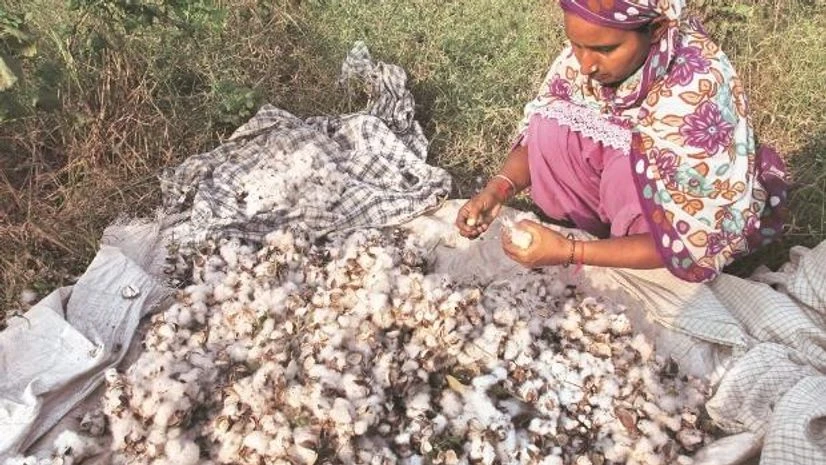 Indian farmers, farmers BITTER PAST Given the experience of exploitative price increases for Bt cotton by Monsanto, often linked with increasing farmer suicides in India’s cotton belt, what is the guarantee that the Baysanto will be different? (Photo: Reuters)