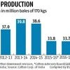 Pest infestation likely to lower cotton output by 10% across major states