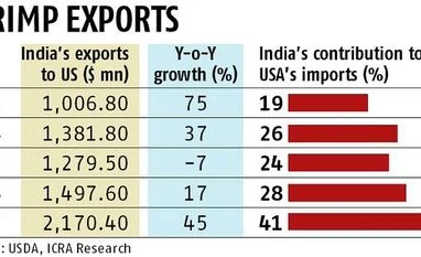 Anti-dumping duty on Indian shrimp import unlikely to impact shipment Chart