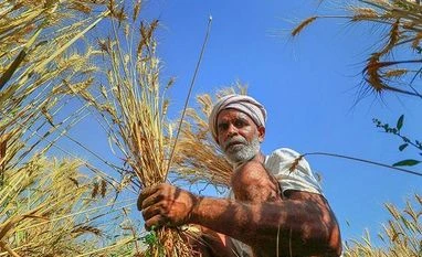 Haryana farmers protest for 3rd day, alleges delay in paddy procurement farmer, agriculture, paddy