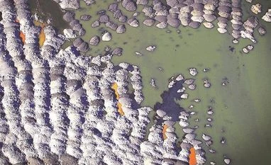 One of the dirtiest oil sources going green; Alberta closing coal plants Alberta oil reserve