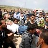 Israel Palestine, Israel and Palestine, palestine conflict, east palestine, palestine news, free palestine, palestine history, palestine war, gaza, bas gaza gaza strip, gaza israel, israel