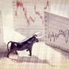 stocks, markets