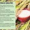 Can rice cure cancer? Three Chhattisgarh varieties can, claim researchers