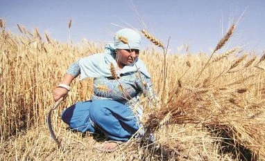 Smarter agri techniques need to address ground-level problems: Researchers farmers