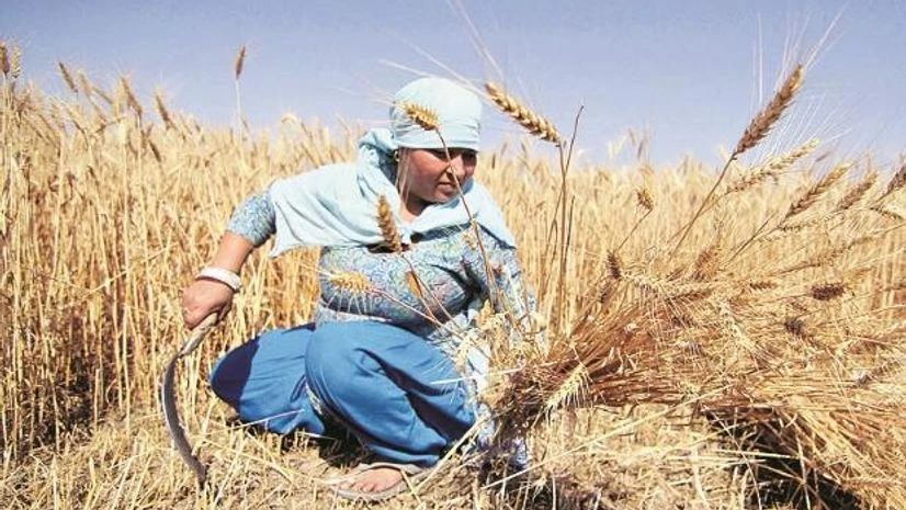 farmers Smarter agri techniques need to address ground-level problems: Researchers