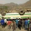 7 killed in Shimla as bus falls into a gorge, rescue operations underway