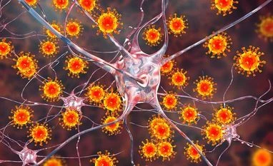 Nipah virus: Educational institutions to function normally in Kozhikode Nipah Virus