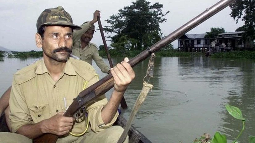 forest ranger, rangers forest ranger, rangers