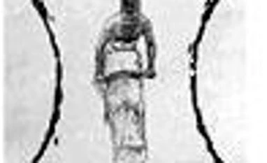 The Strategist Quiz (#563) quiz