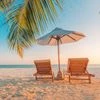 How to plan a holiday trip? Here's what you need to know before travelling