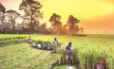 How Odisha's land bank is speeding up investments, avoiding repeat of Posco Farm prices