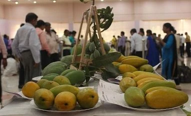 Mango The festival showcases over 700 varieties of mangos and includes a day trip to orchards around Lucknow