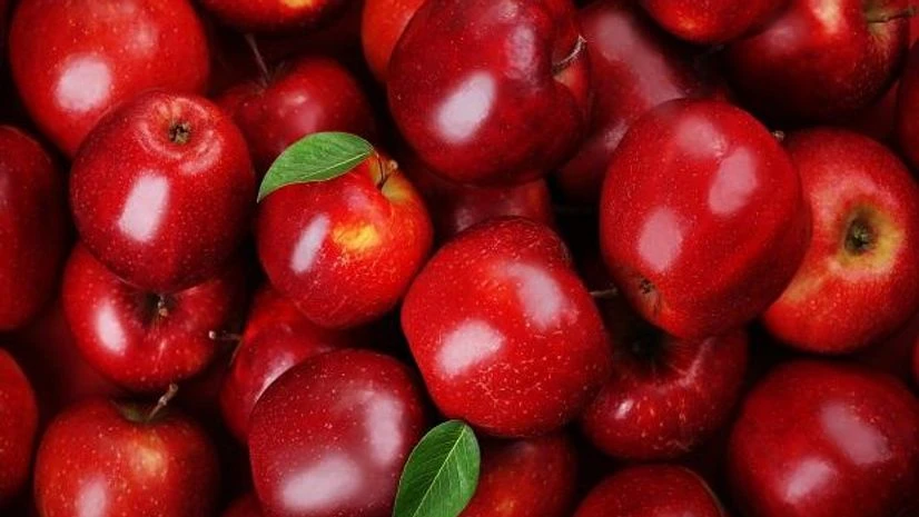 apple, apple fruit apple, apple fruit