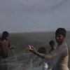 rohingya .fish trouble