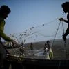 rohingya .fish trouble