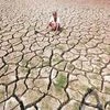 Northeast monsoon below normal, triggers drought fear across south India