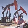 Slowdown in oil imports from China and India drags down demand in Asia